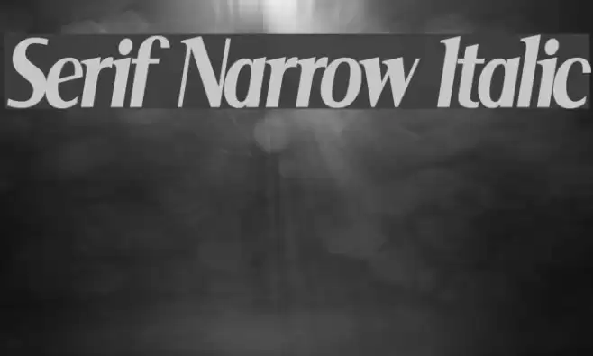 Serif Narrow Italic Шрифта examples