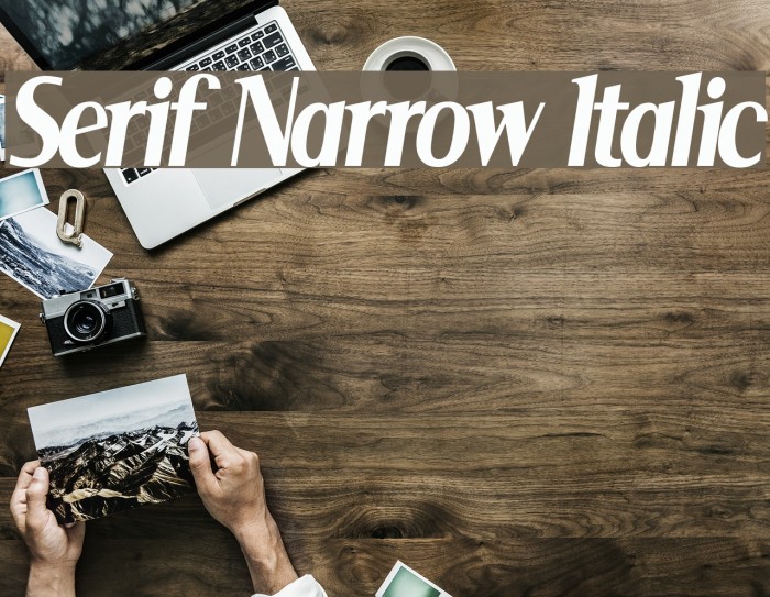 Serif Narrow Italic Шрифта examples