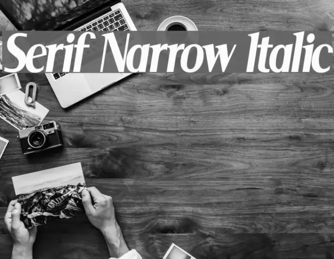 Serif Narrow Italic Шрифта examples
