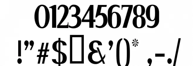 Serif Narrow Font OTHER CHARS