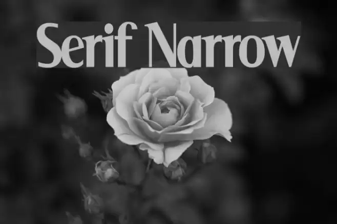 Serif Narrow Font examples