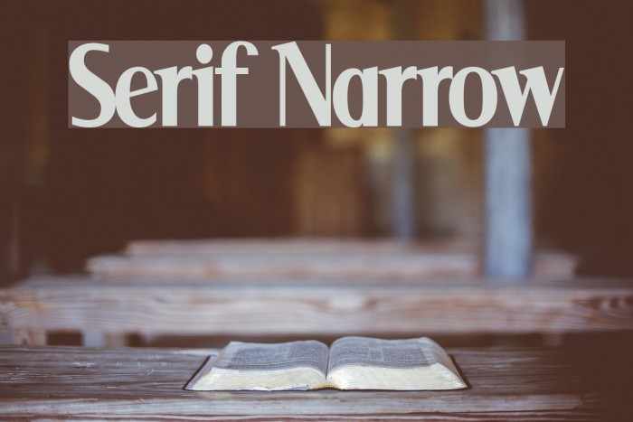 Serif Narrow Шрифта examples