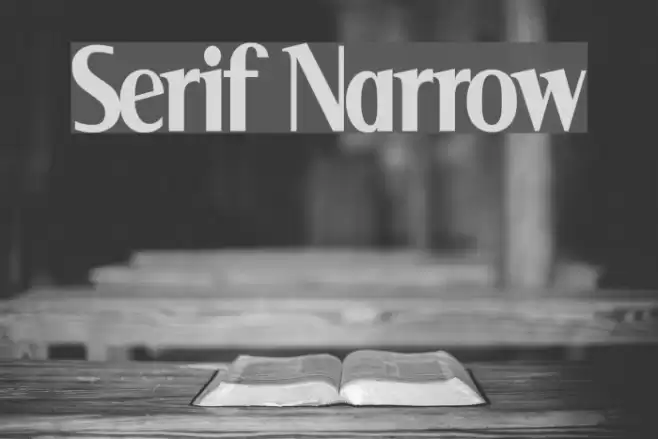 Serif Narrow Font examples