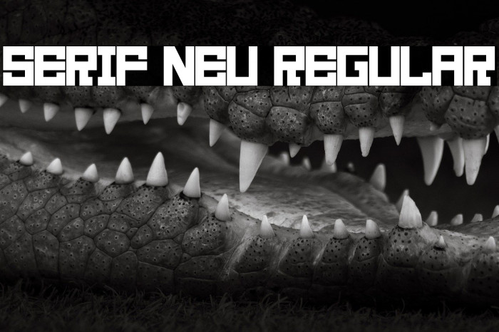 Serif Neu Regular Example 1