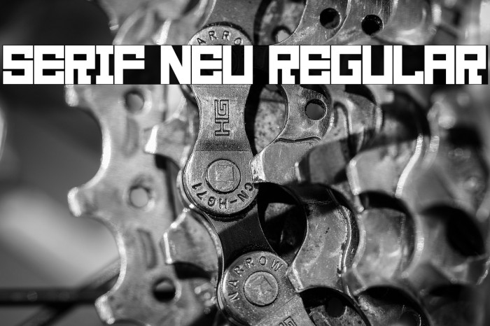 Serif Neu Regular Example 3