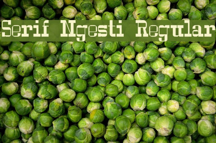Serif Ngesti Regular Font examples