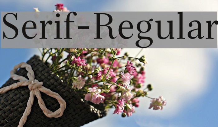 Serif-Regular Font examples