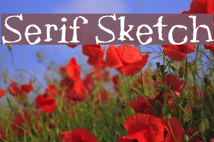 Serif Sketch Font examples