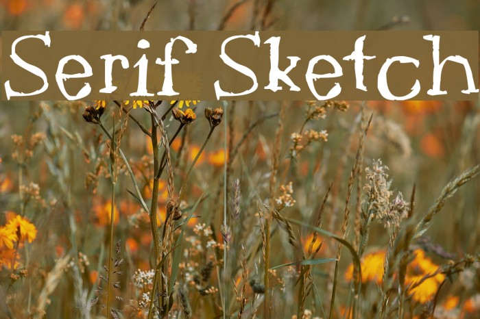 Serif Sketch Font examples