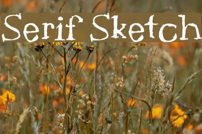 Serif Sketch Example 3