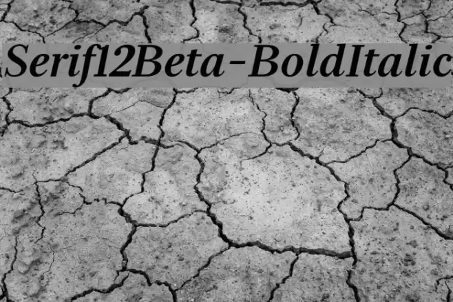 Serif12Beta-BoldItalic Font examples