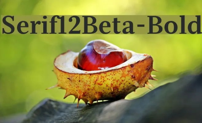 Serif12Beta-Bold Example 2
