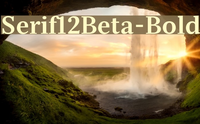 Serif12Beta-Bold Font examples