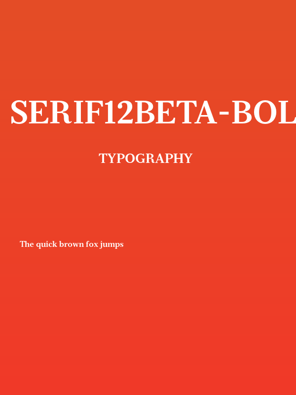 Serif12Beta-Bold Poster
