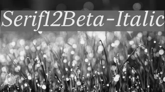 Serif12Beta-Italic Font examples
