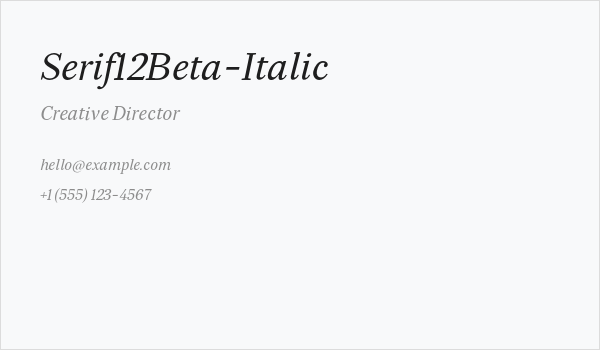 Serif12Beta-Italic Business Card