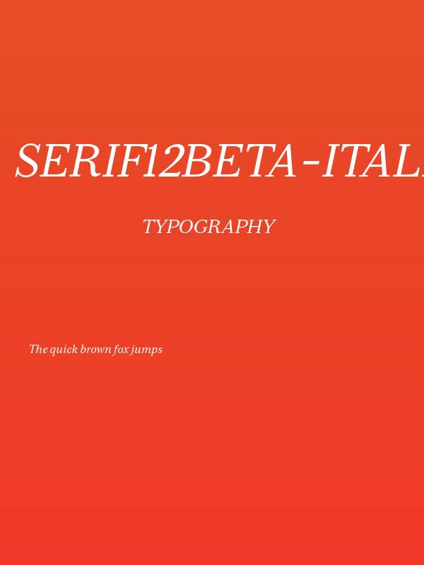 Serif12Beta-Italic Poster