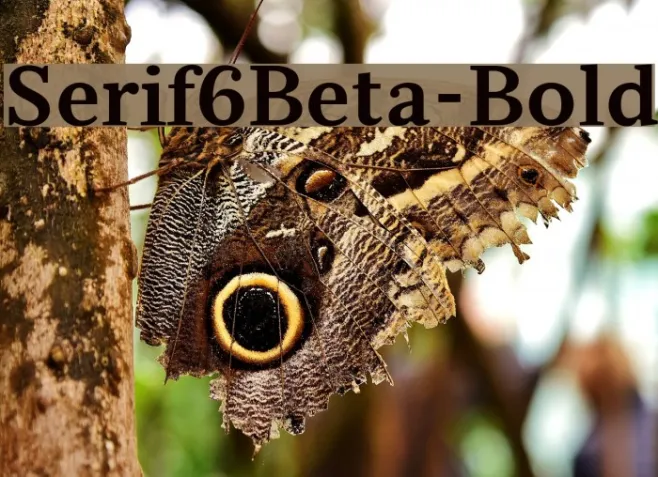 Serif6Beta-Bold Example 2