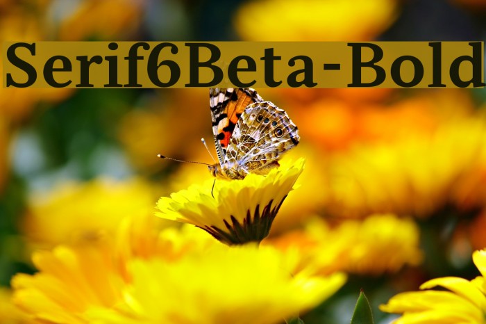 Serif6Beta-Bold Font examples
