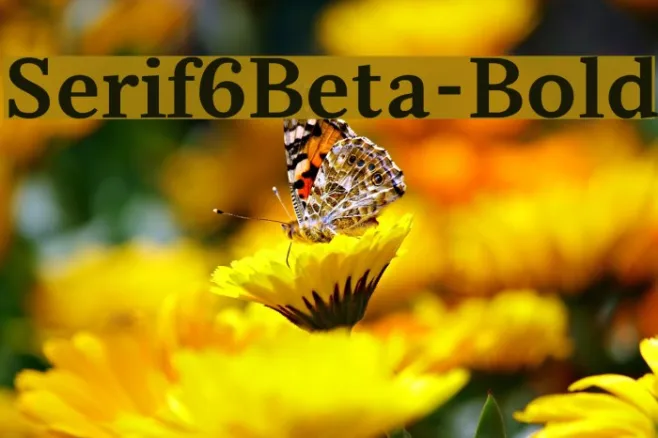 Serif6Beta-Bold Example 3