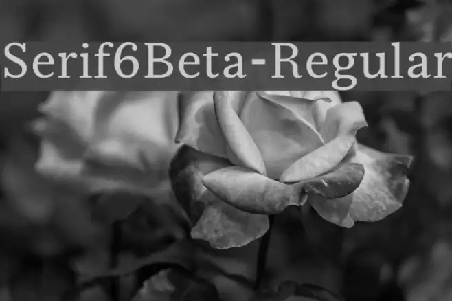 Serif6Beta-Regular Font examples