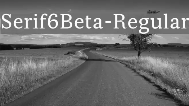 Serif6Beta-Regular Font examples