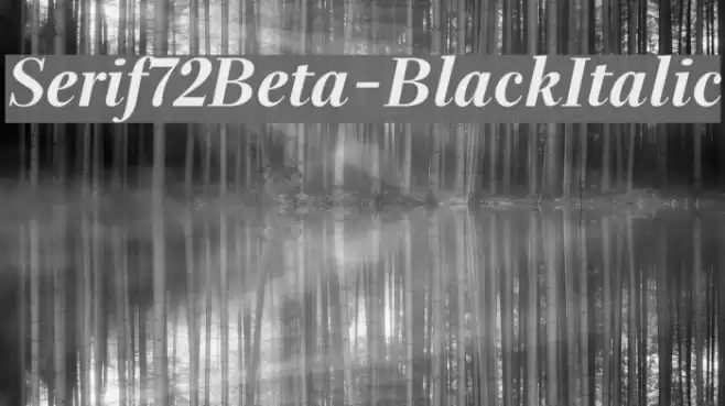 Serif72Beta-BlackItalic Font examples