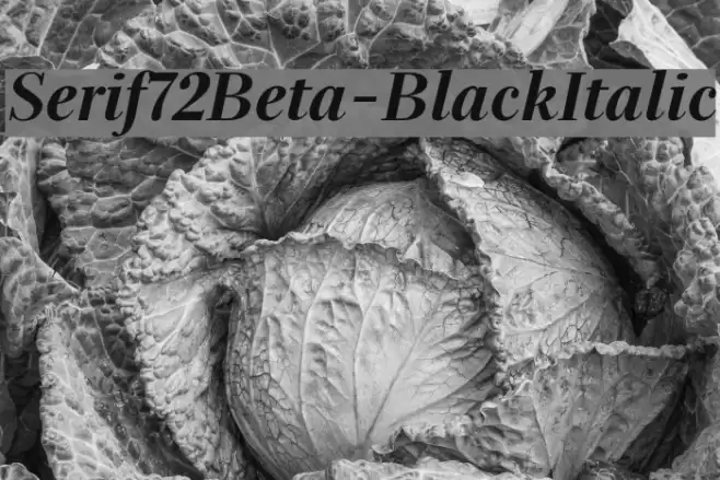 Serif72Beta-BlackItalic Font examples
