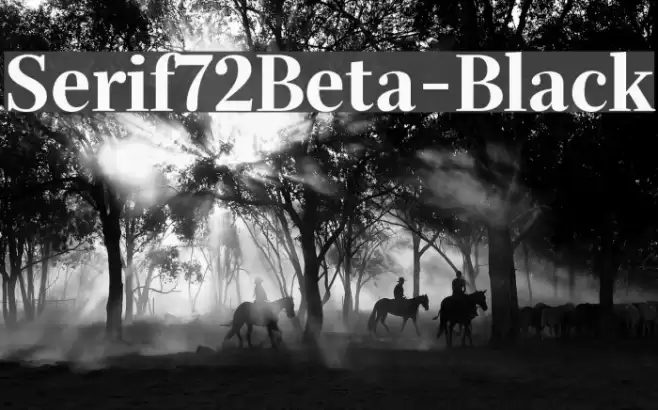 Serif72Beta-Black Font examples