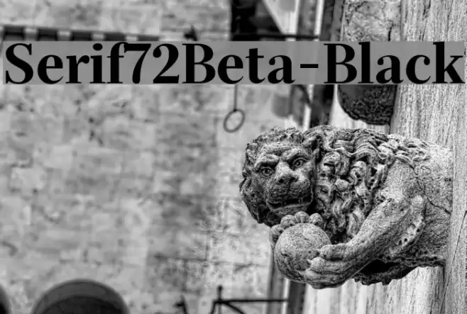 Serif72Beta-Black Font examples