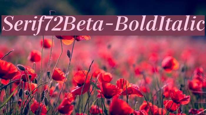 Serif72Beta-BoldItalic Font examples