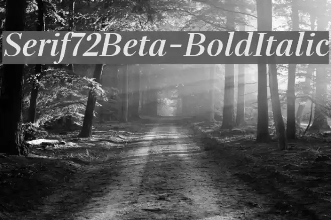 Serif72Beta-BoldItalic Font examples