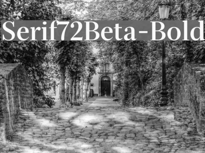 Serif72Beta-Bold Font examples