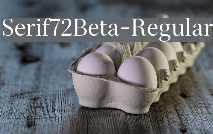 Serif72Beta-Regular Font examples
