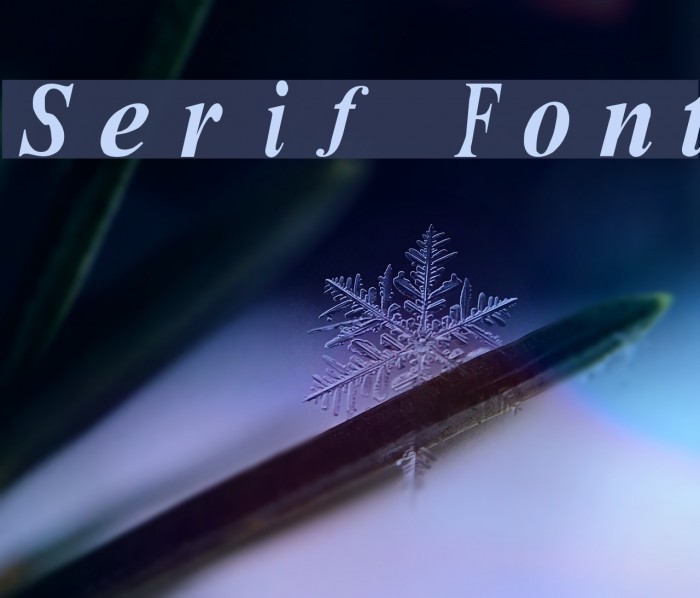 Serif Font examples