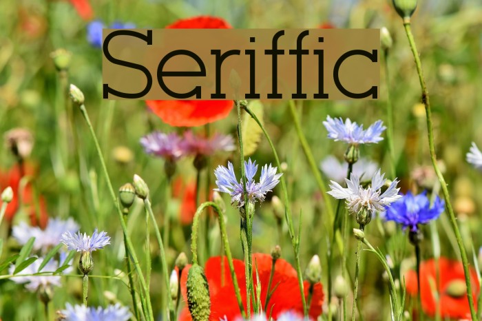 Seriffic Font examples