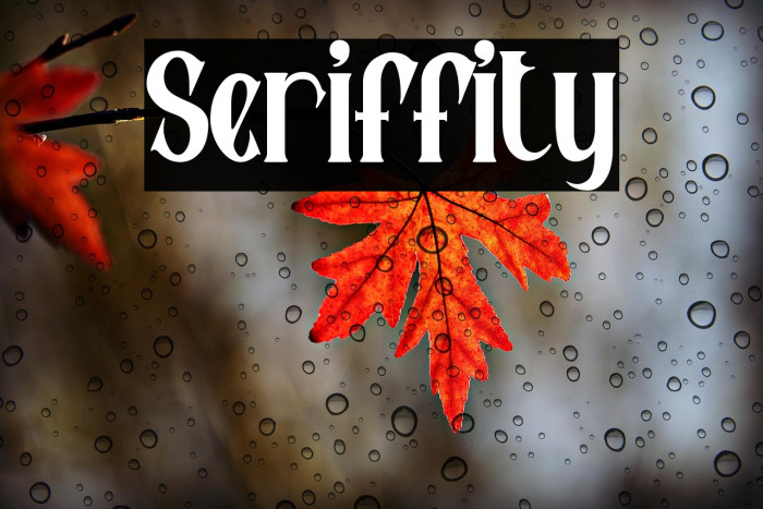 Seriffity Example 1