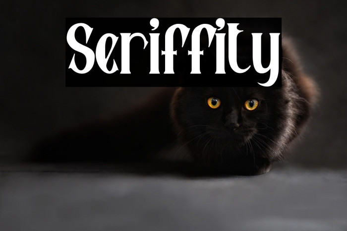 Seriffity Example 2
