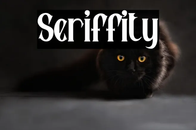 Seriffity Example 2
