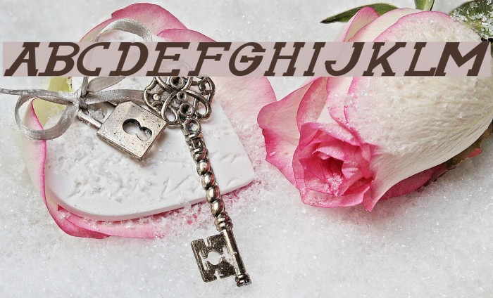 Serifonwide Italic Example 3