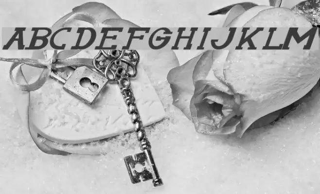 Serifonwide Italic Font examples