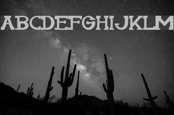 Serifonwide Font examples