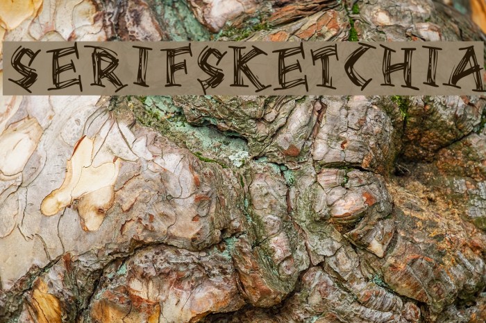 Serifsketchia Font examples