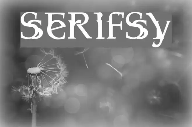 Serifsy Font examples