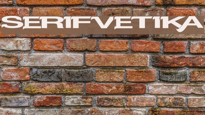 Serifvetika Font examples