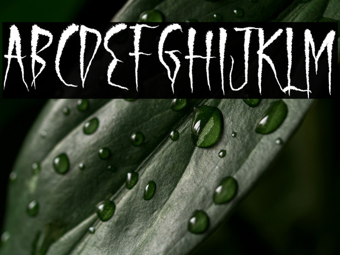 Serigala Timur Example 2