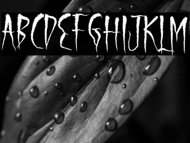 Serigala Timur Fuentes examples