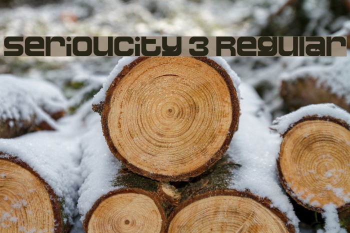 Serioucity 3 Regular Font examples