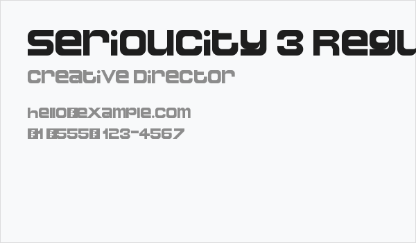 Serioucity 3 Regular Business Card