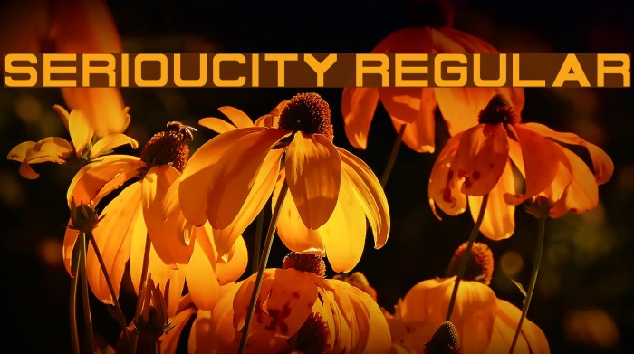 Serioucity Regular फ़ॉन्ट examples